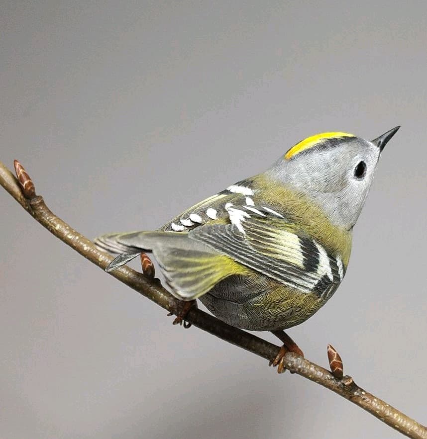 バードカービング(Bird Carving) キクイタダキ 野鳥彫刻 - メルカリ
