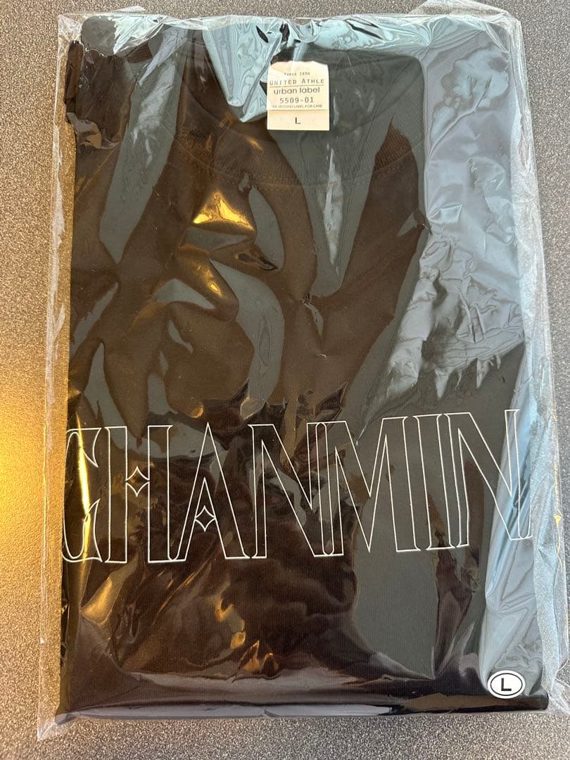 新品未開封 ちゃんみな AREA OF DAIAMOND4 ロンT Lサイズ - メルカリ