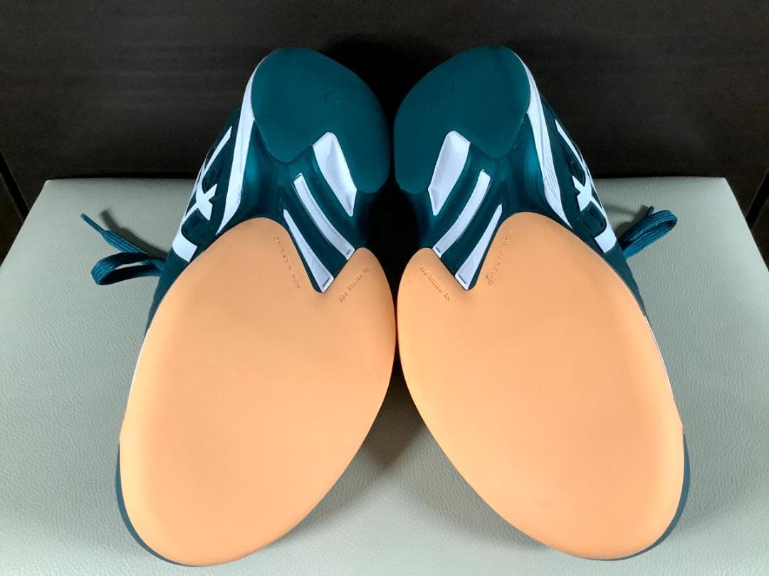 25.0cm アシックス ソリューションスピード FF2 インドア カーペット