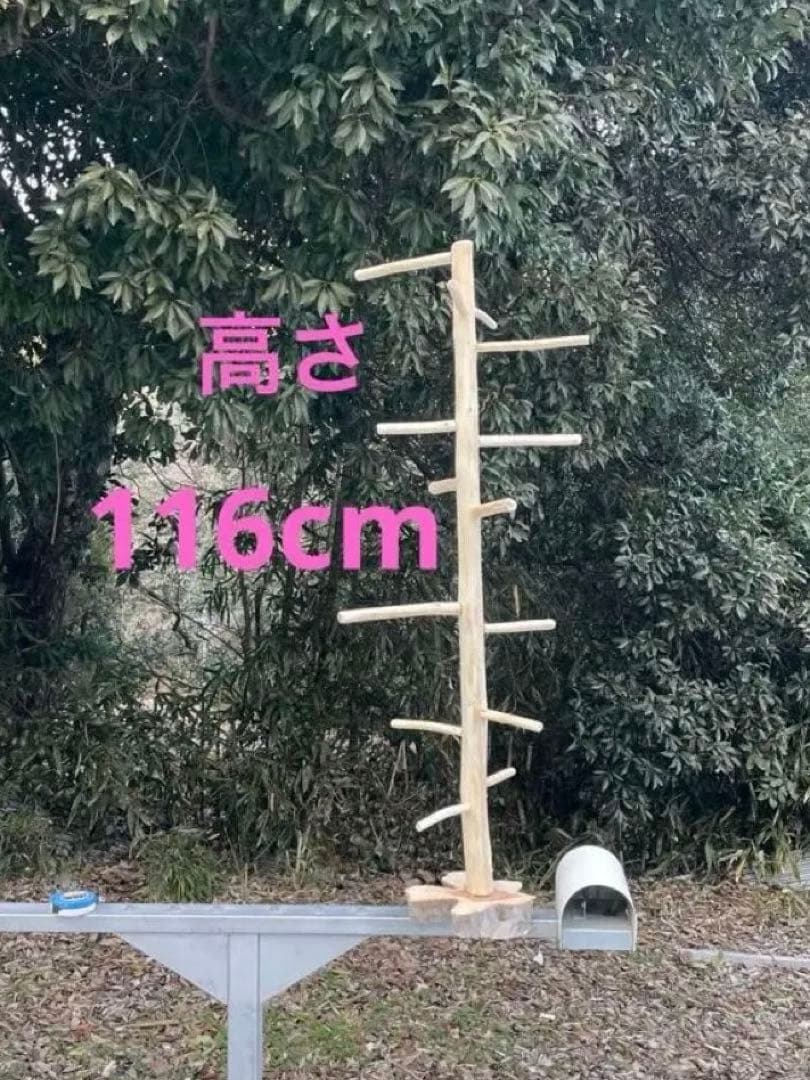 国産ヒノキ　鳥用止まり木　大型スタンド　約115.7センチ　小型中型インコ用 Leaf Corp 鳥 とまり木 ヒノキのフラットステージ ショート 国産