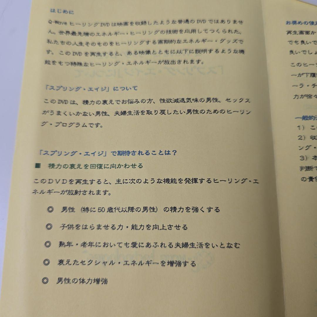 スプリング・エイジ ほおじろえいいち DVD