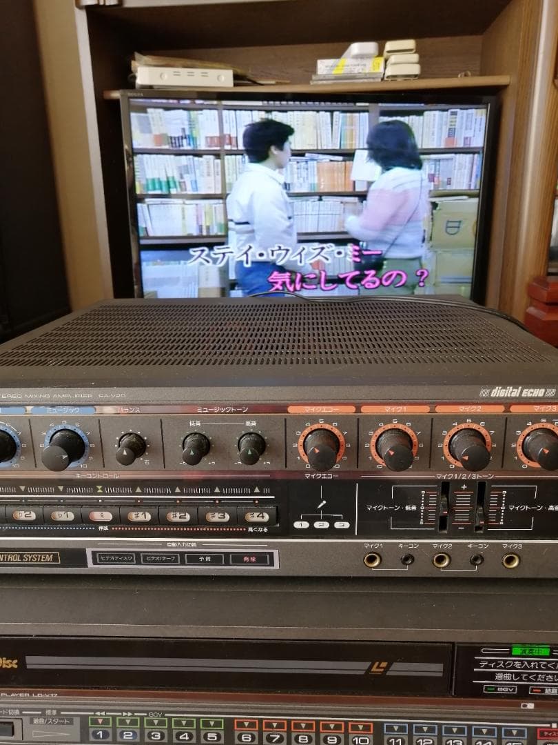 はらぺこあおむし様専用 DKレーザーディスク150枚 - メルカリ