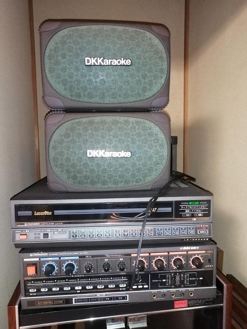 はらぺこあおむし様専用 DKレーザーディスク150枚 - メルカリ