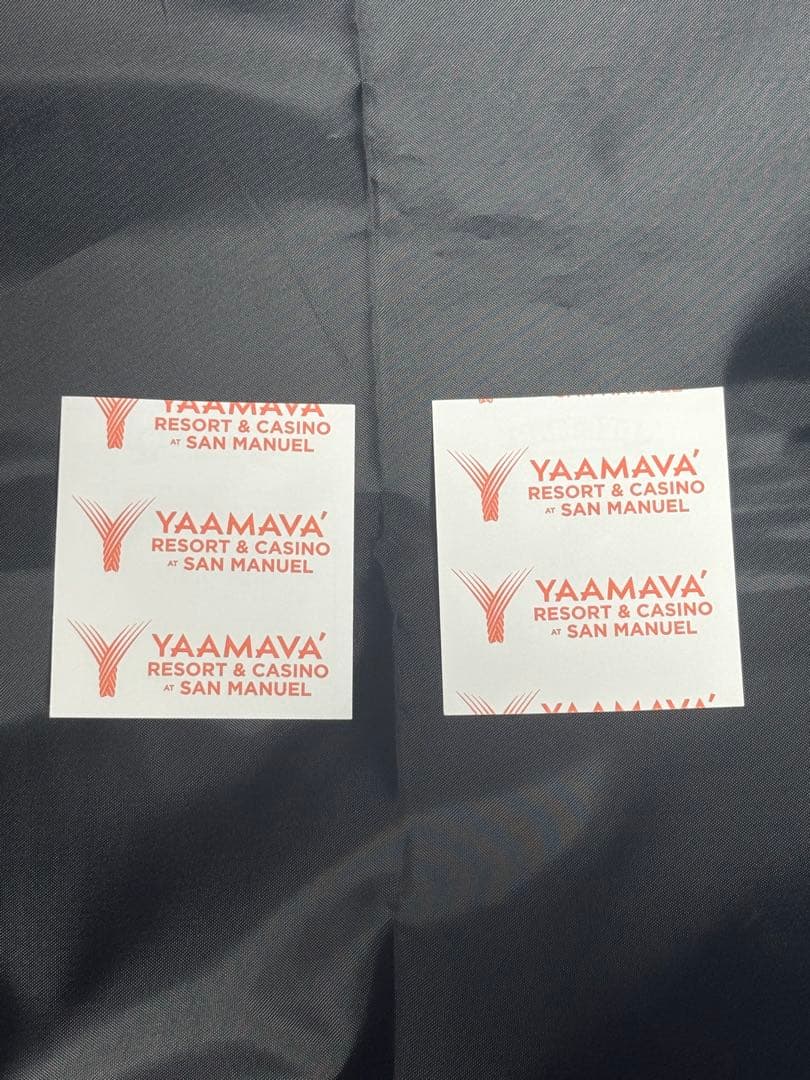 フォーエバーヤング BCクラシック 2025現地 単勝馬券