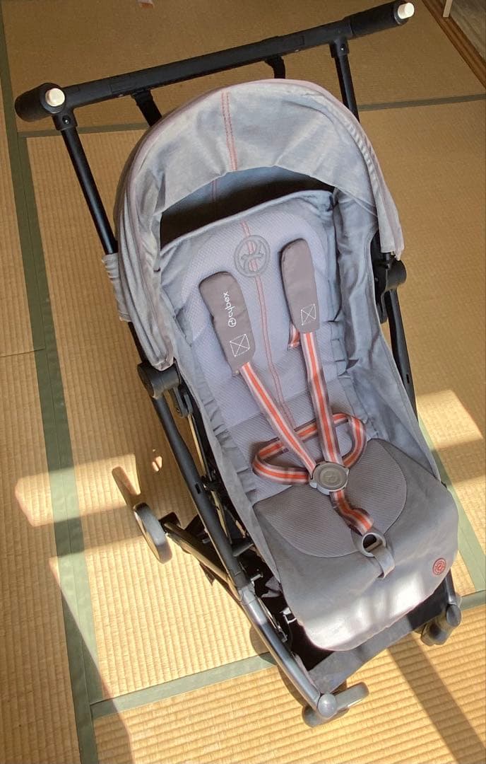 はるか様専用サイベックス リベル 使用頻度少なめ ラバグレー 2023年