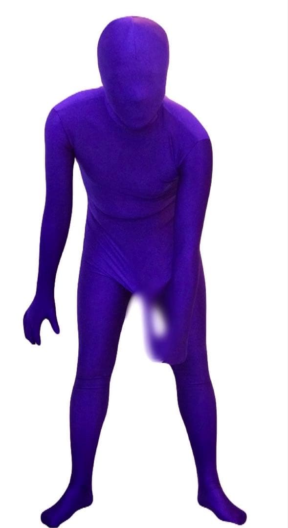 即購入OK。Lサイズパープル男性用凸仕様ゼンタイフルフェイスマスク全身タイツ