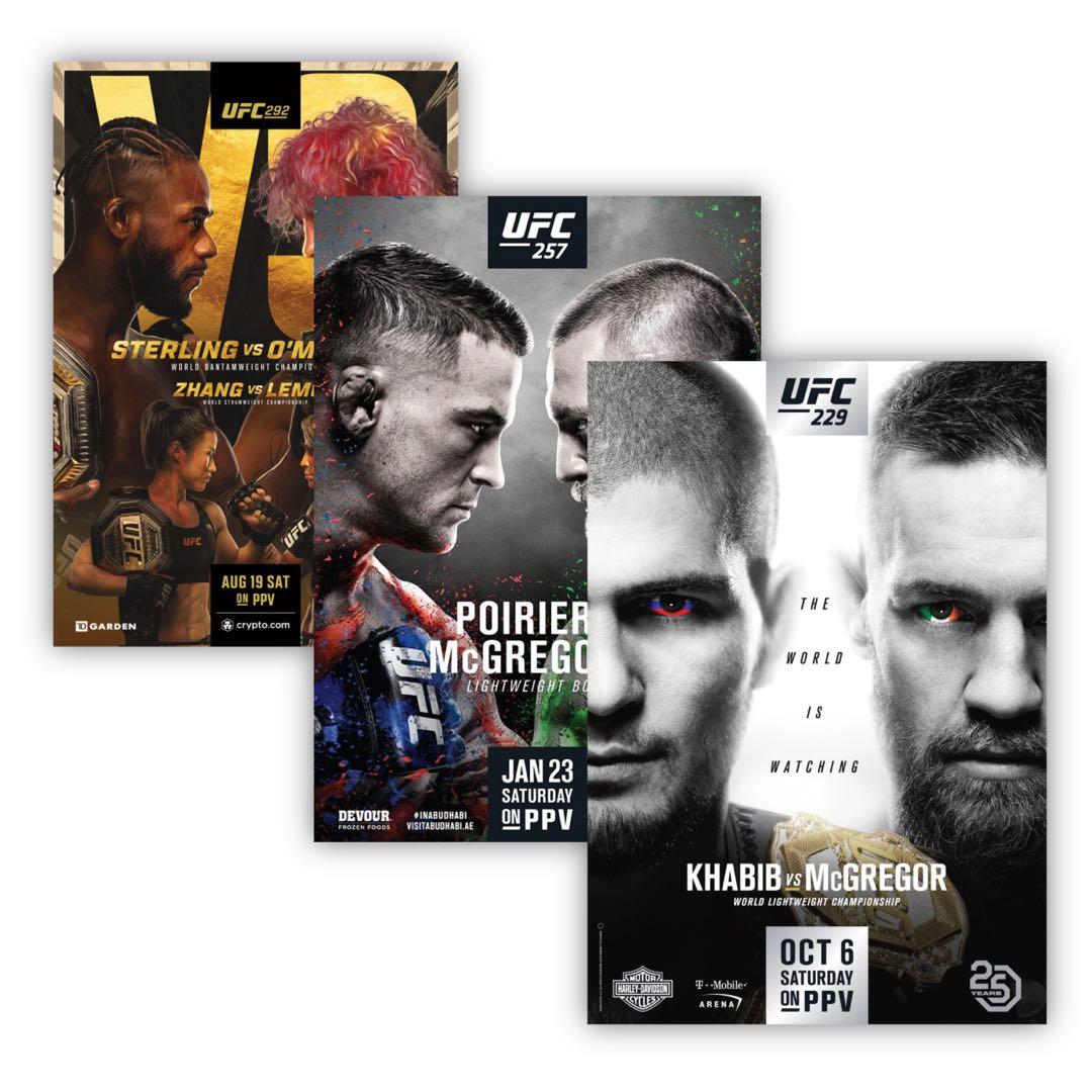 ポスター potita ゆうパケット対応】ケイコーポスター A4判 橙 厚口イベント