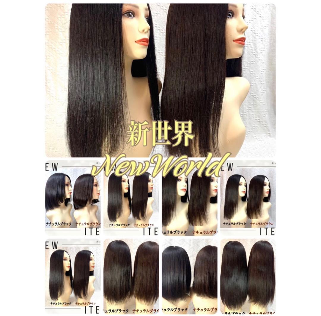 2024新世界 人毛100% ウィッグ フルウィッグ シルクスキン 医療ウィッグ