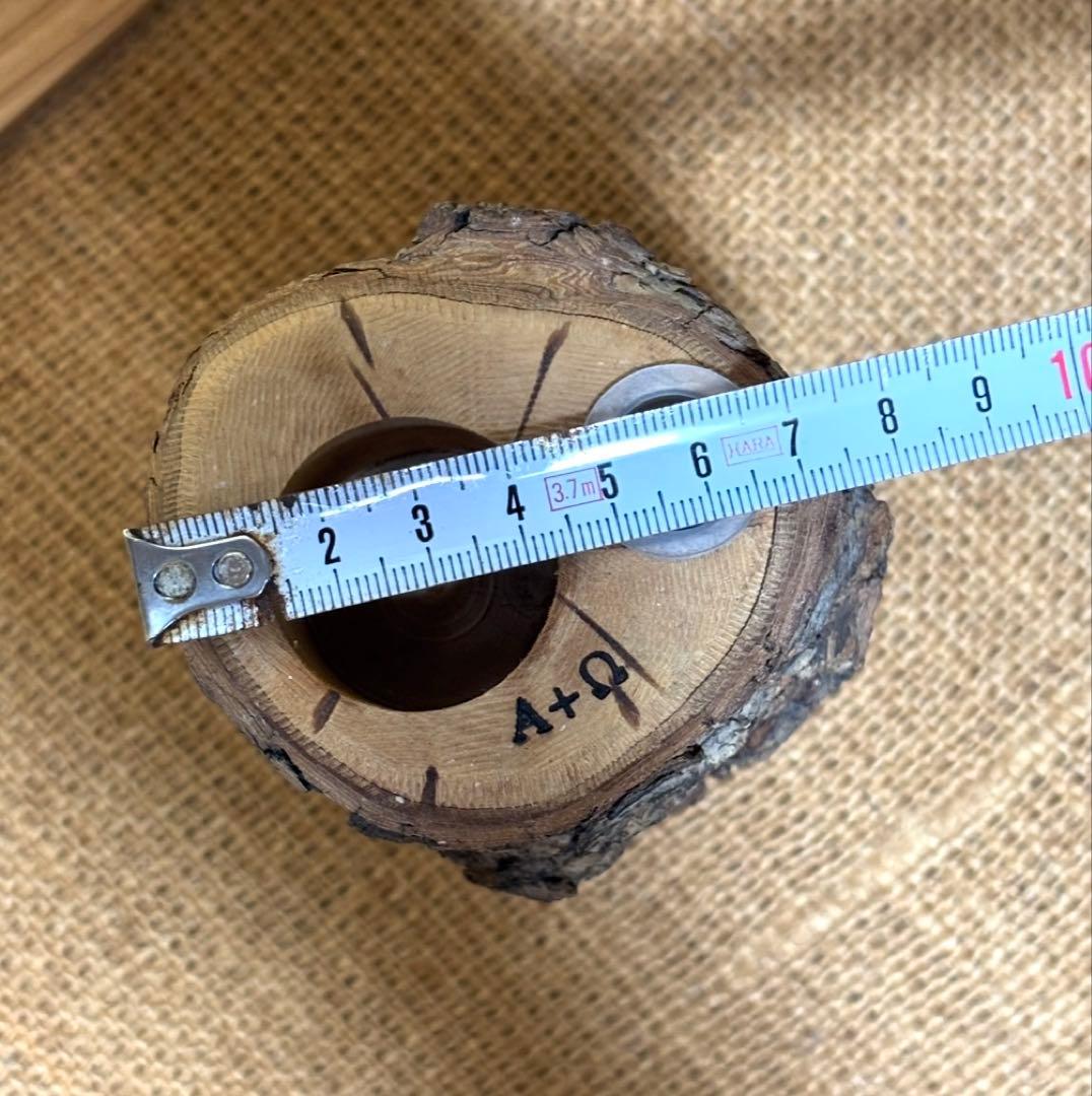 三本木 森兵衛☆希少入手困難A+Ωクラフトウッド（クワリウム）クワガタ