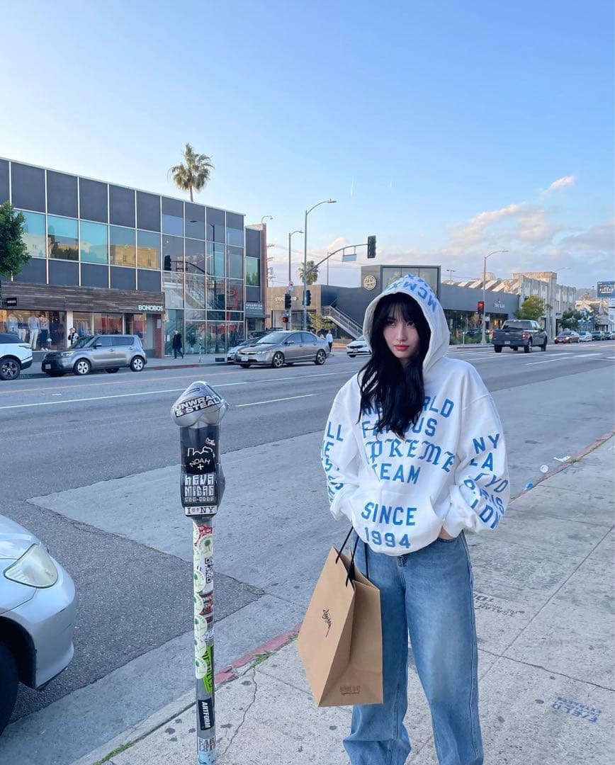 TWICEモモ着用】Supreme Team Flocked Hooded M - メルカリ