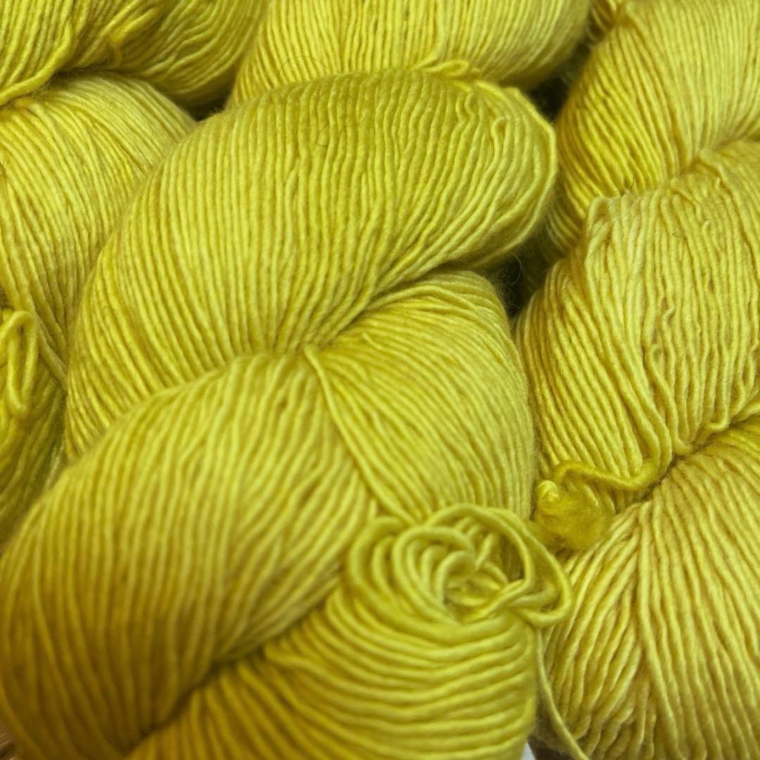 Walk Collection Cozy Merino 4カセセット