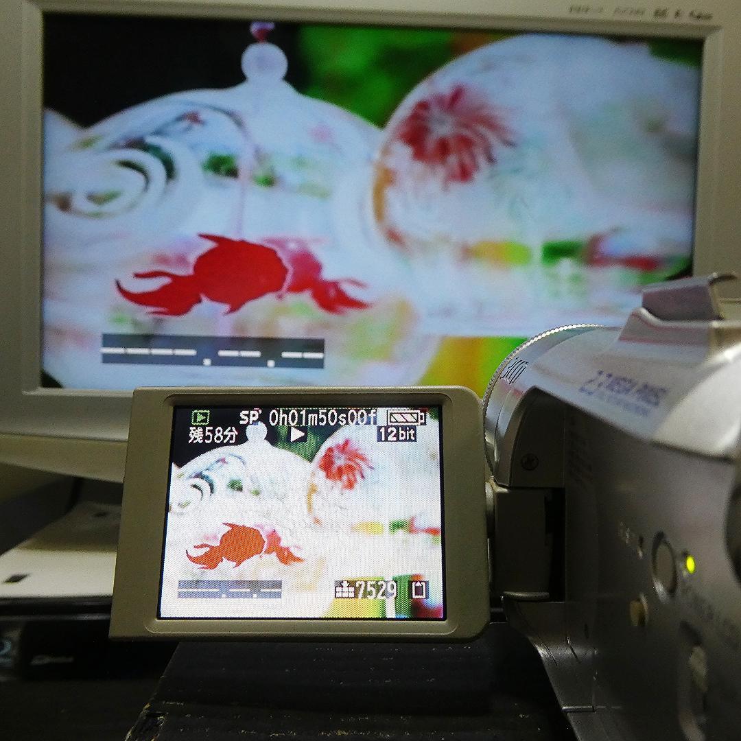 動作良好 パナソニックNV-GS150 MiniDVビデオ DVDダビングに最適