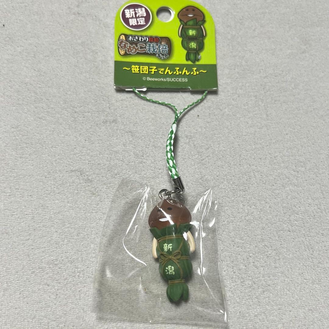 なめこ栽培キット ご当地なめこ 6点 新潟 富山 信州 温泉地 根付け