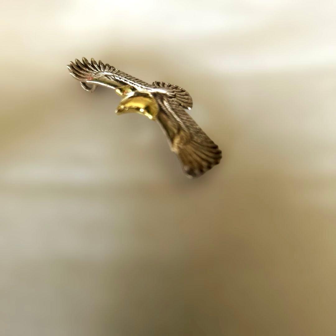 ウイングロック WINGROCK wingrock 2Sイーグル - メルカリ