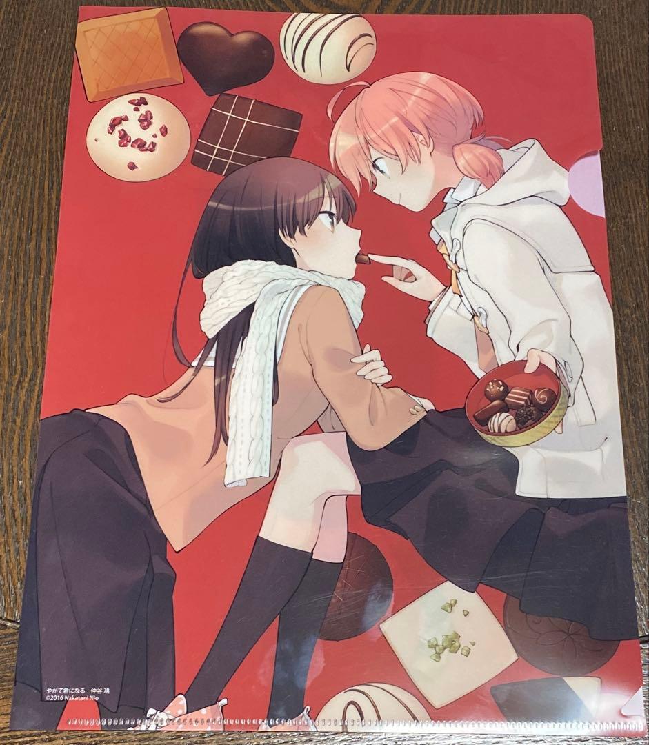 中華統一 やがて君になる ゆりめいとフェア クリアファイル 花は咲く、修羅の如く クリアファイル 花奈＆瑞希 vol.1