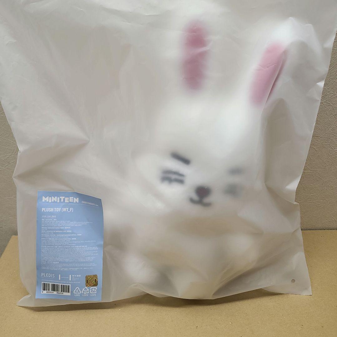 MINITEEN エスクプス ぬいぐるみ チェチェリー ミニティーン - メルカリ