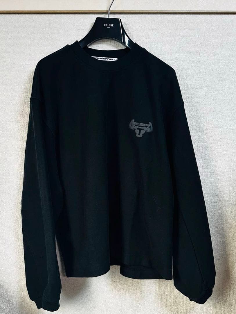 登坂広臣着用ALEXANDER WANG Beefy Muscle スウェット - メルカリ
