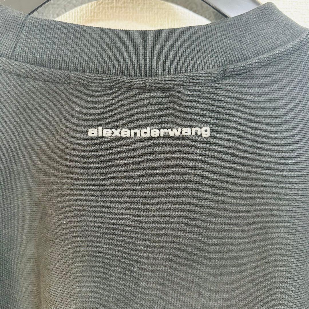 登坂広臣着用ALEXANDER WANG Beefy Muscle スウェット - メルカリ