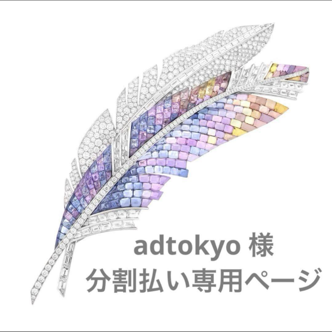 adtokyo 様　2回払い専用ページの2 楽天ペイ（オンライン決済）V2 随時／利用承諾を検索する