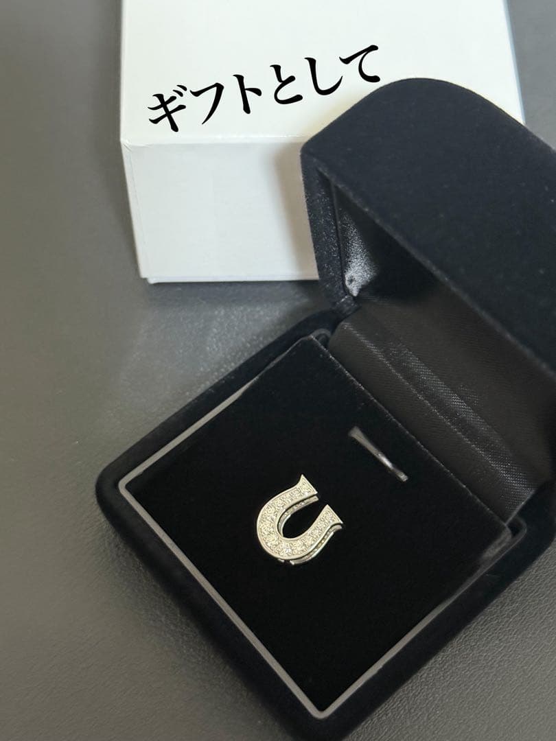 Ryu様【PT900】馬蹄喜平チャーム のみ、天然ダイヤ付き、100グラム入る