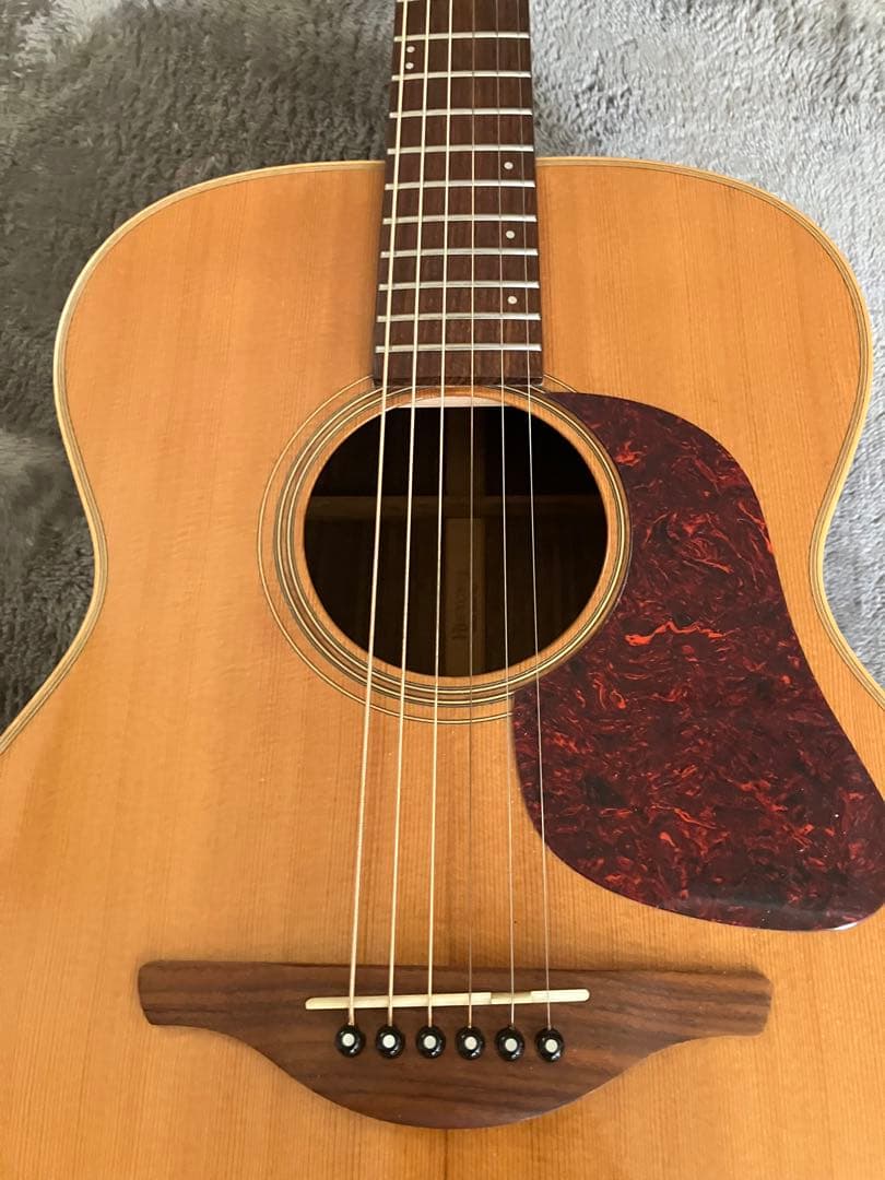 history nt-03オール単板 - メルカリ