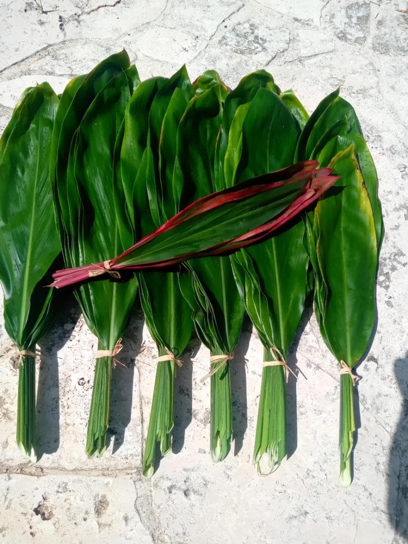 ハワイ産沖縄育ちの