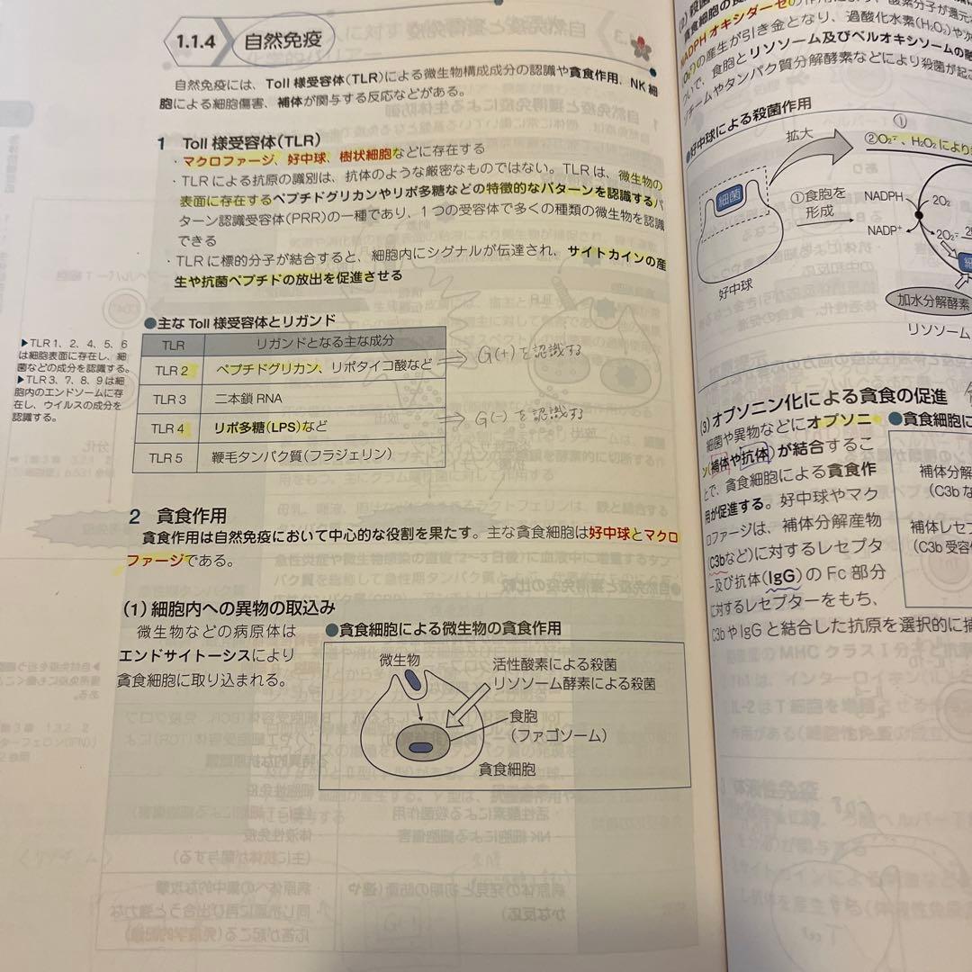 第111回薬剤師国家試験(改訂第15版) 青本・青問セット - メルカリ