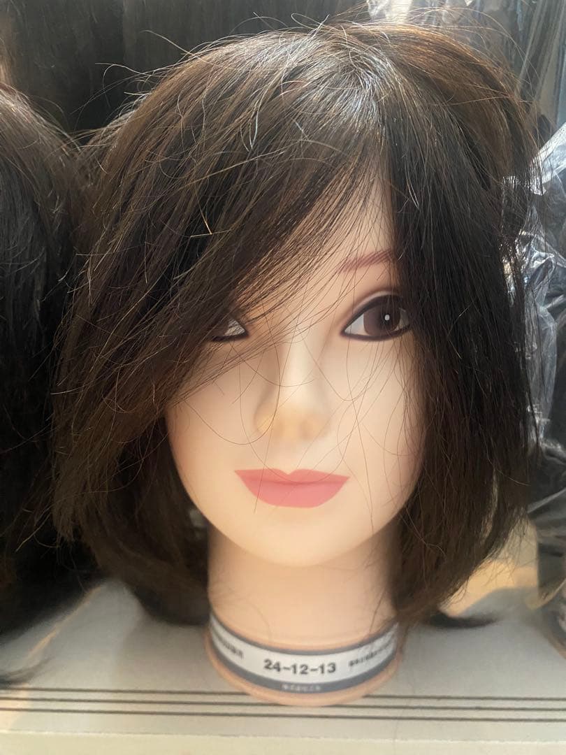 国家試験練習用 カットウィッグ 1体 即購入◎ - メルカリ