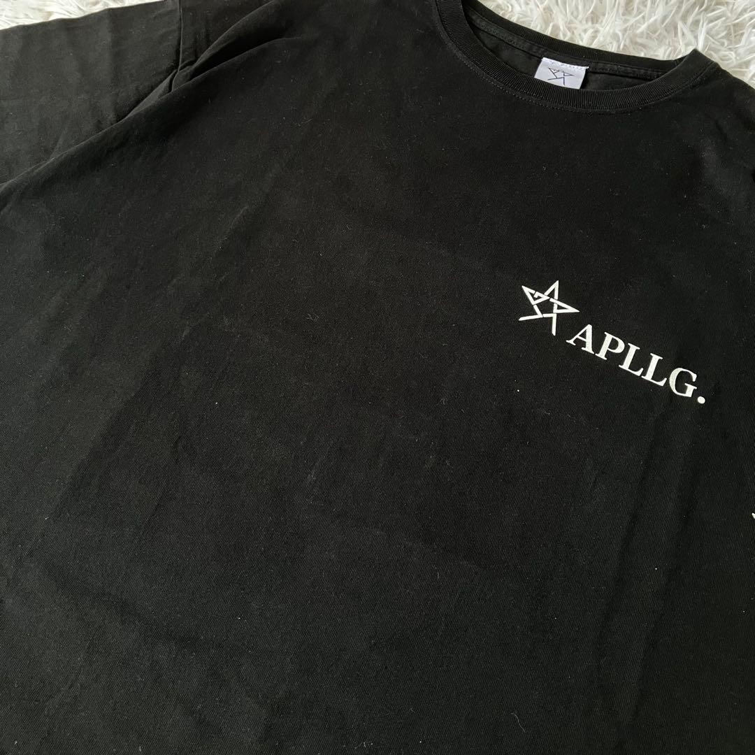 APOLLOGIC アポロジック Tシャツ 背面ビッグロゴ Lサイズ 3039 - メルカリ