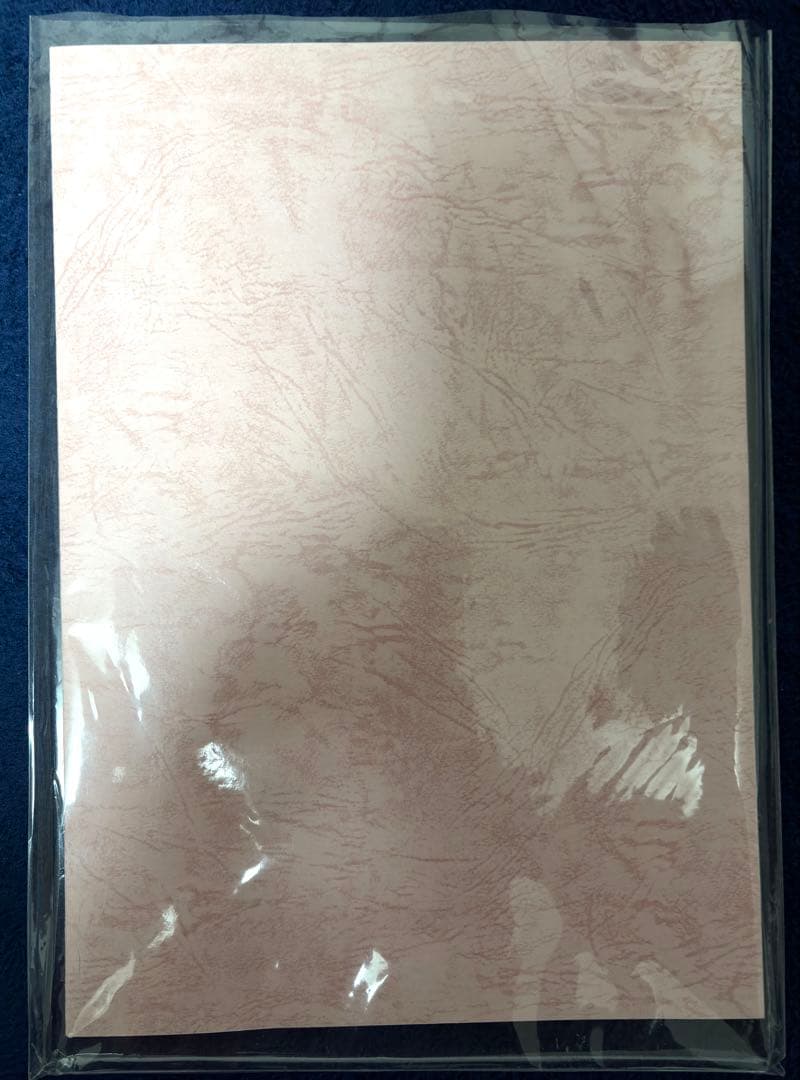 も*ち様 おしえて！ギャル子ちゃん　第1話　サイン入り台本