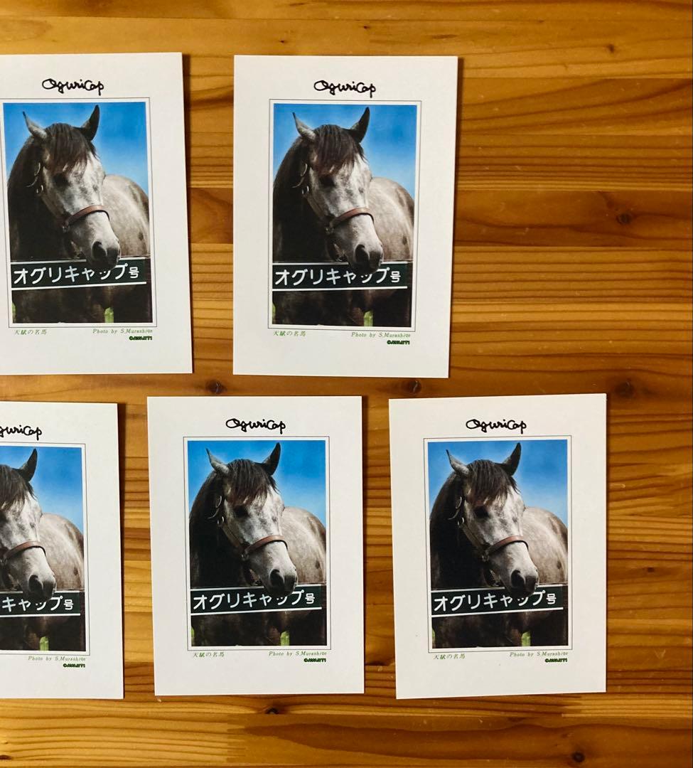 JRA競馬 オグリキャップ ポストカード5枚 優駿スタリオンステーション