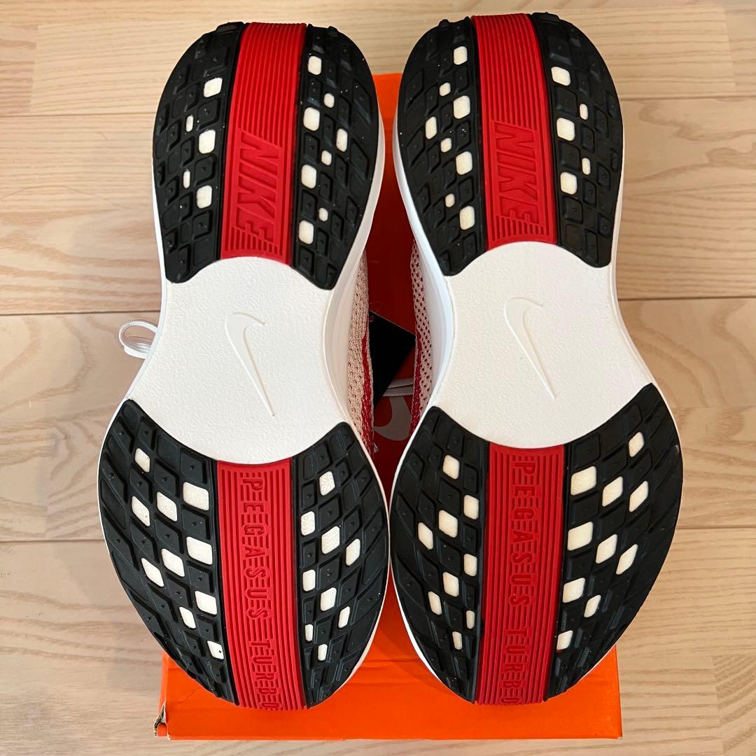 【未使用新品】NIKE ペガサス プラス FQ7262-003 / 26.0cm