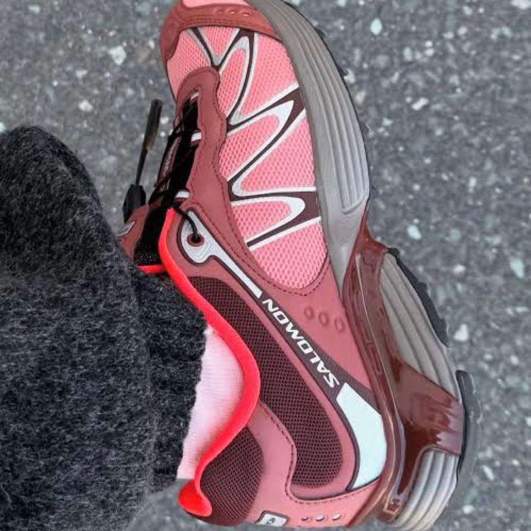 靴 SALOMON XT-WHISPER 24.5cm