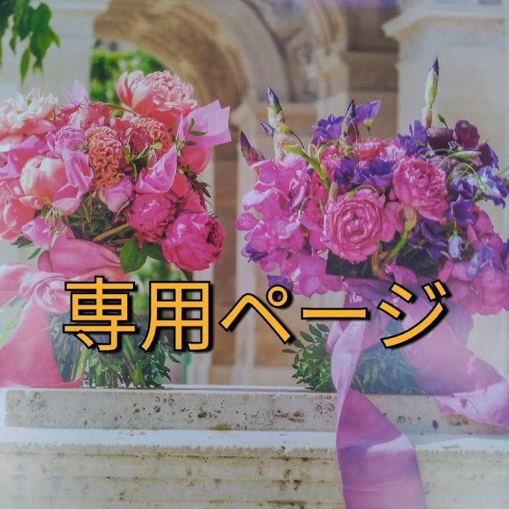 スヌッピー（感謝）/5 スヌーピー】キュービックバッグL|SNOOPY×VOYAGES | Sensounico ONLINE