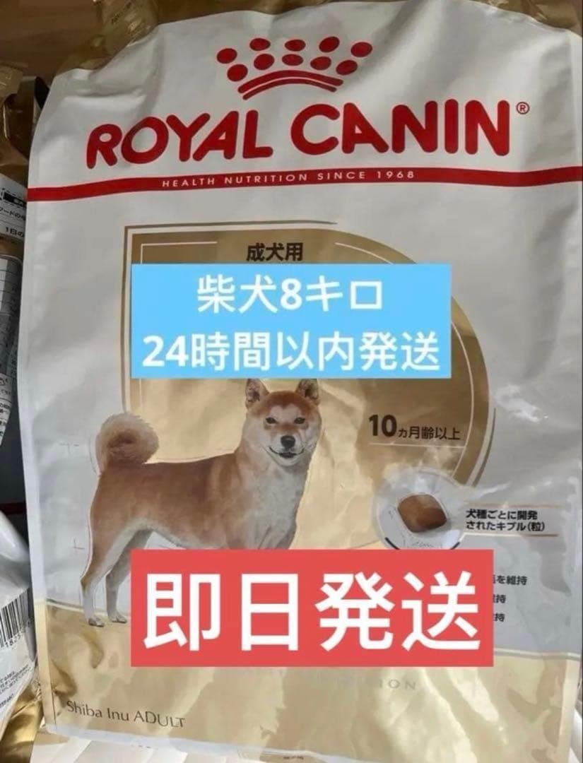 ROYAL CANIN 柴犬用 ドライフード 8kg - メルカリ