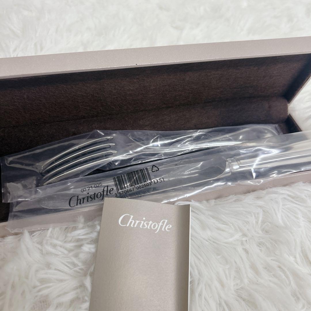【未使用】クリストフル　アルビ　スタンダード　フォーク　ナイフ　セット　箱付き トーダイ（Todai） カトラリーセット ナイフフォークスプーン 2人用 10