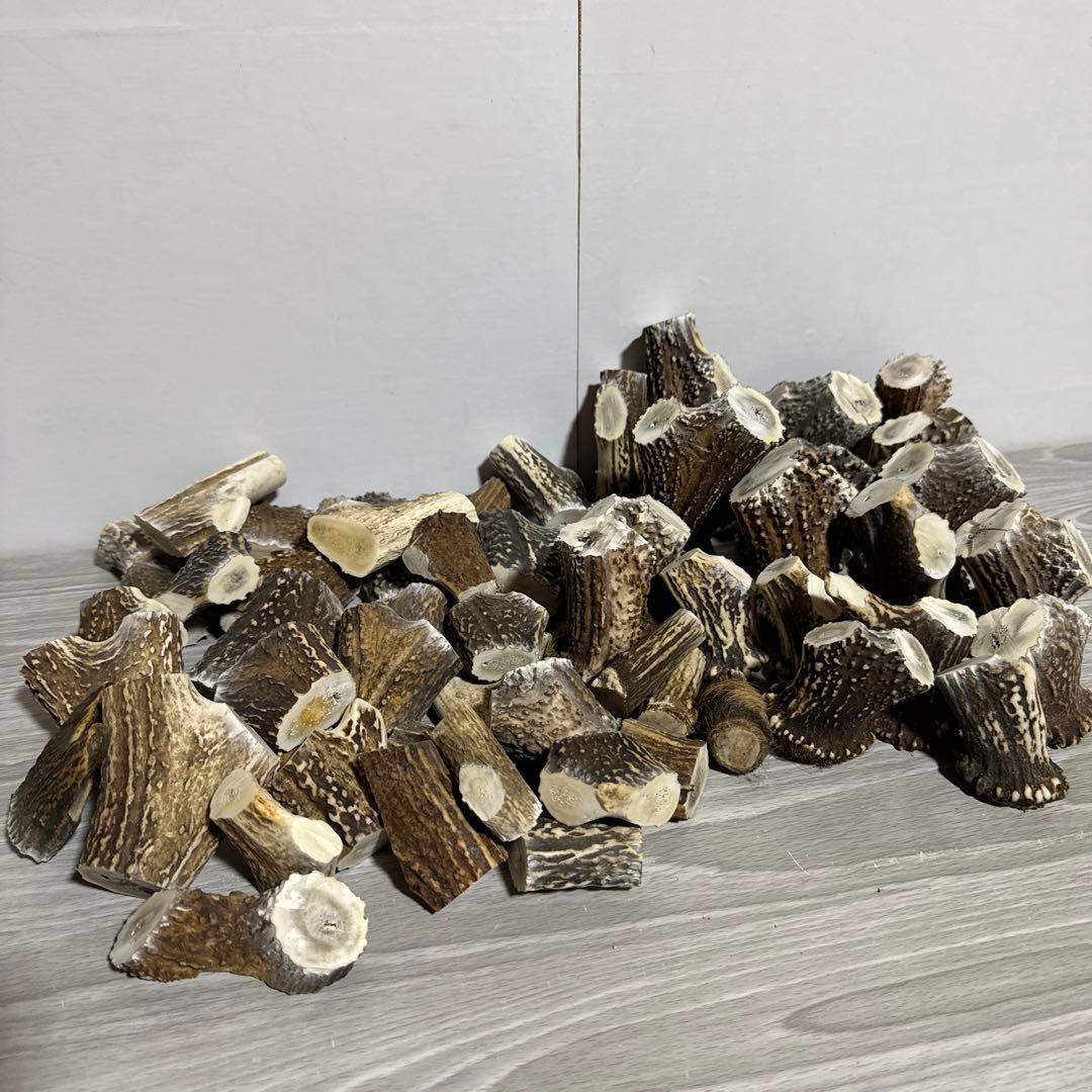 鹿の角　端材Ａ　ハンドメイド用 Amazon.co.jp: 鹿の角 エゾシカ 角 先端詰合わせ 1kg 端材