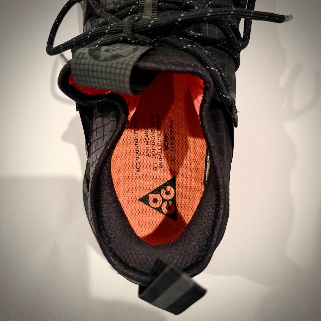 NIKE ACG マウンテンフライロー “アンスライト” US12 - メルカリ