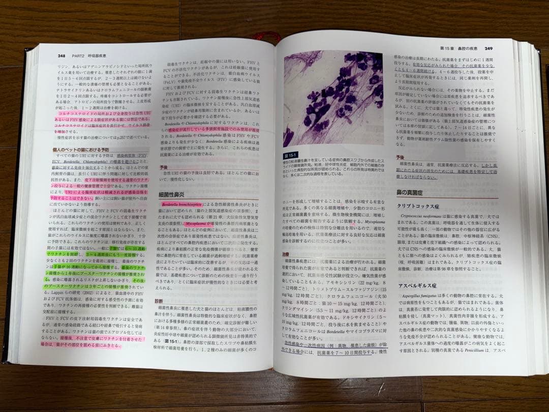 SMALL ANIMAL INTERNAL MEDICINE 第4版 上下巻 - メルカリ