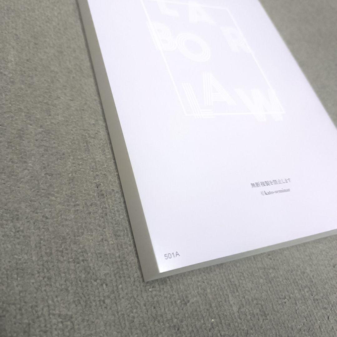 加藤ゼミナール【新品】労働法重要問題100選講座 - メルカリ