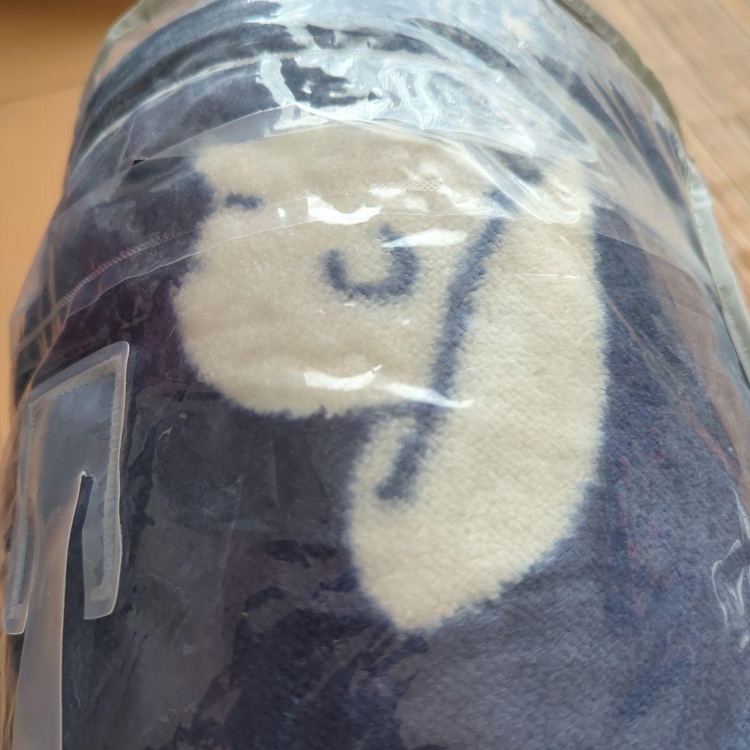 感謝価格一品 UNIQLOスヌーピーヒートテック毛布ダブル - メルカリ