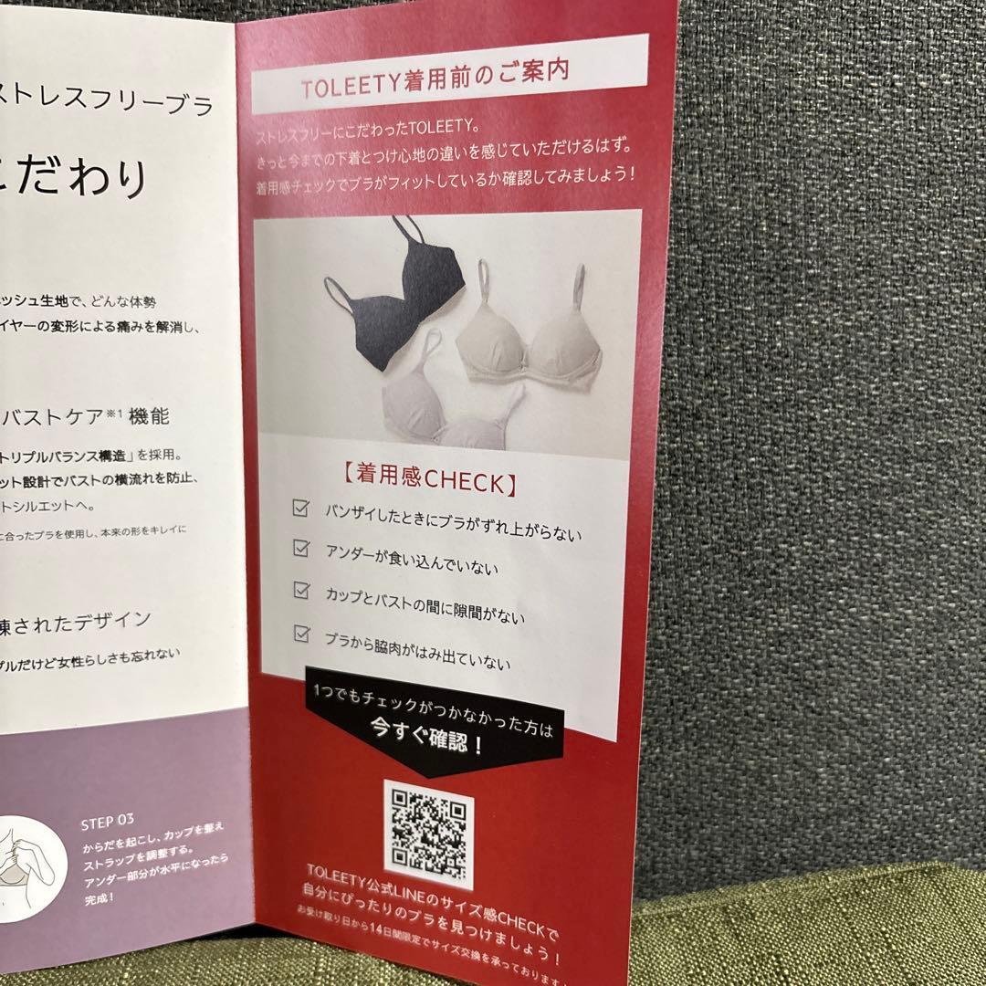 村重杏奈TOLEETYブラ【EF75〜85】ショーツセットグレー - メルカリ