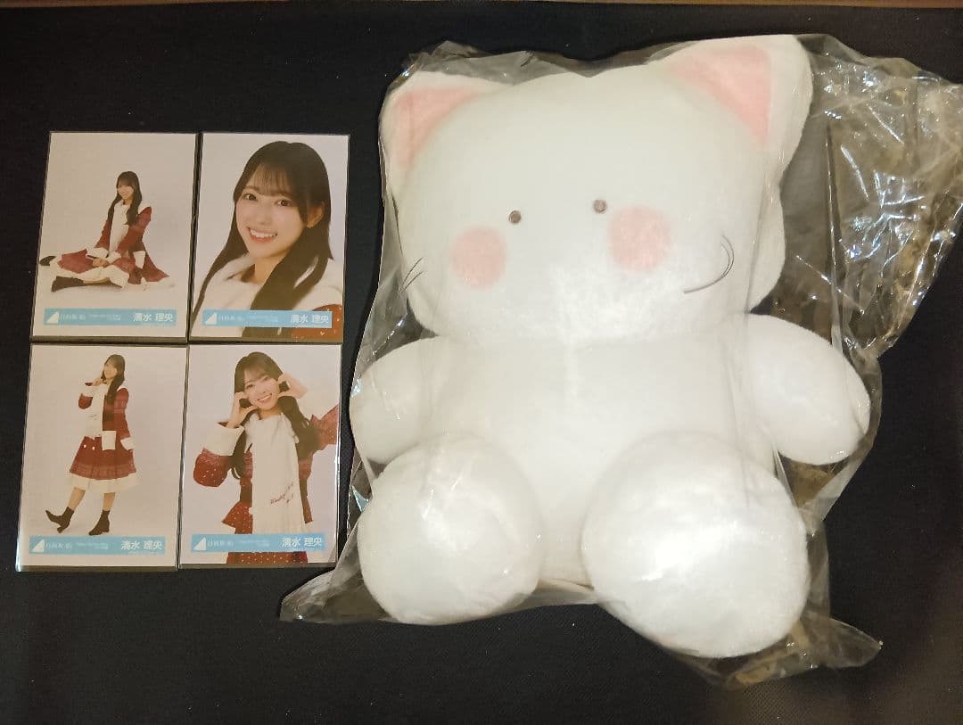 清水理央 日向坂46 HTT2023サンタ衣装 生写真コンプ にゃぽまる - メルカリ