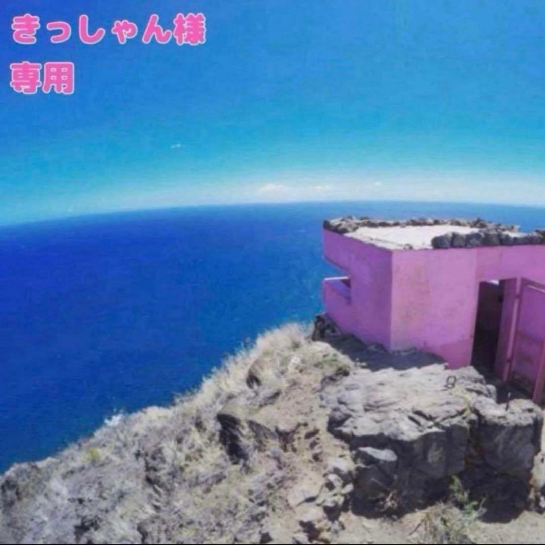 きっしゃん 投稿詳細｜MOTOCLE