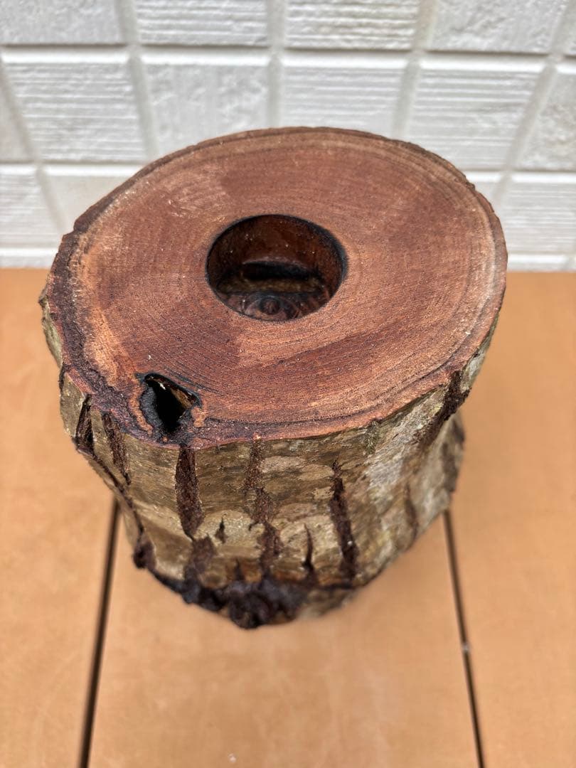 クワガタ隠れ家、クワリウム、クワガタ登り木、昆虫ゼリー台、樹洞