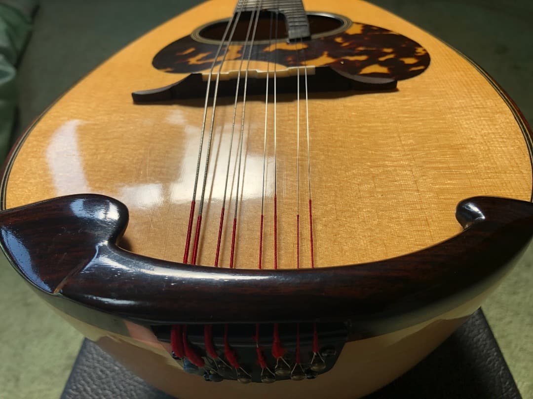 SUZUKI/スズキ M-30 マンドリン 後期型 ネック虎目 超美品 - メルカリ