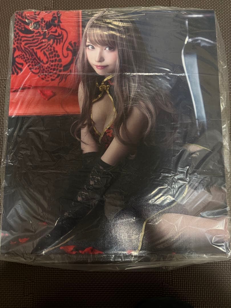 コスプレイヤーシスル　コミケ　写真集等詰め合わせ