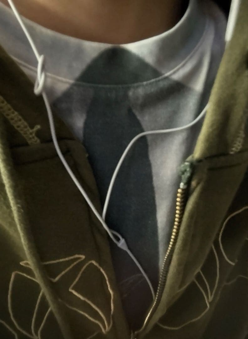 polar skate big boy supremeビーニーダウンかなた Polar Skate Co.（ポーラー スケートボード カンパニー）アパレル・T