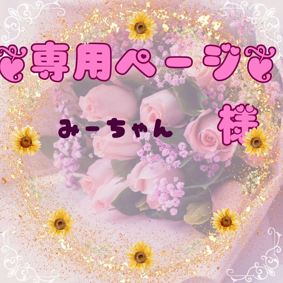 みーちゃんページ