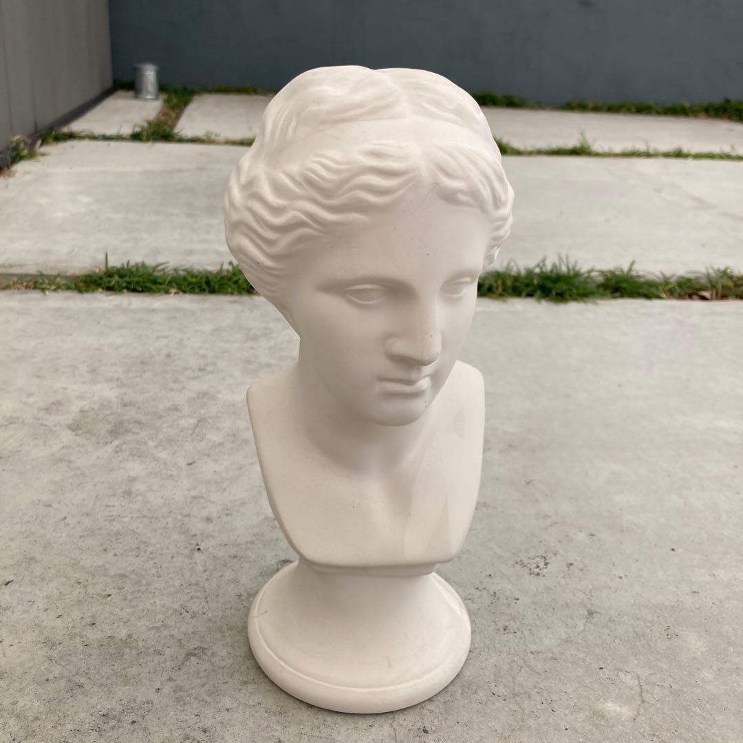 ミロのヴィーナス 胸像 石膏像 顔 美術 スケッチ インテリア 美大受験 ミロのヴィーナス 胸像 石膏像 顔 美術 スケッチ インテリア 美大受験